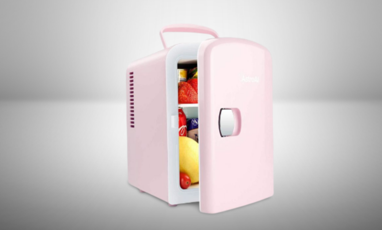 Best Mini Fridge for Cosmetics