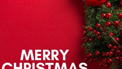 Merry Christmas Wishes Text Messages and SMS