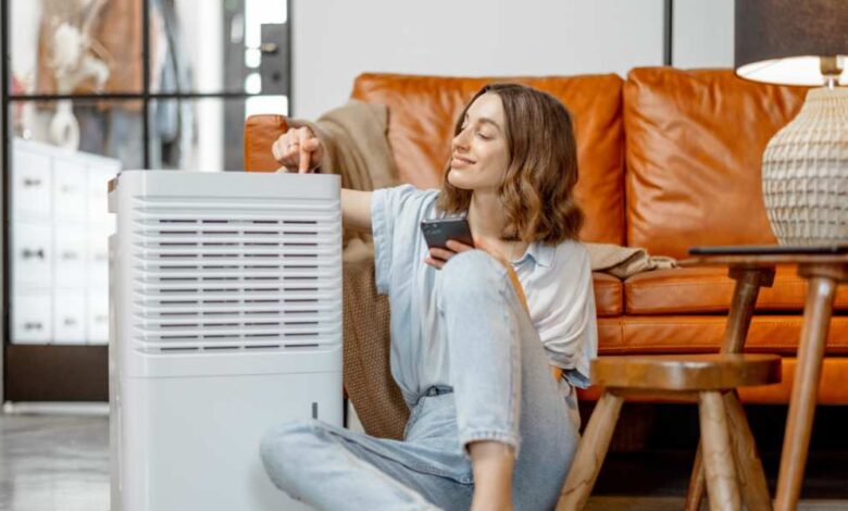 blonde girl put a finger on 2 in 1 dehumidifire and air purifire sitting beside coffee color sofa.