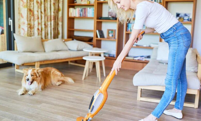 a blonde girl in white color t-shir and sky blue pant using vacuum cleaner on wooden floor and a brown and white color dog sitting in front of her.
