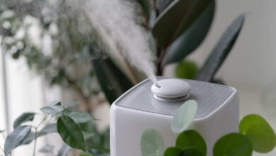a white humidifire spraying moisture surrounded by green leaves