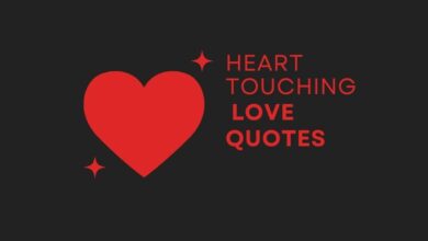Best Heart Touching Quotes Words that will stir your soul