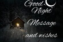 Good Night Messages And Wishes