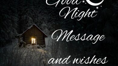 Good Night Messages And Wishes