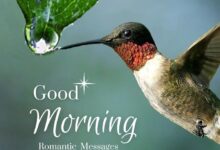 Romantic Good Morning Messages - Cute and Beautiful Good Morning Messages for Crush & Lover