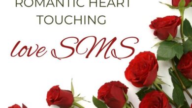 Romantic Heart touching love SMS