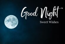 Sweet Good Night Wishes