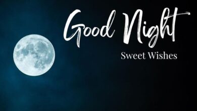 Sweet Good Night Wishes